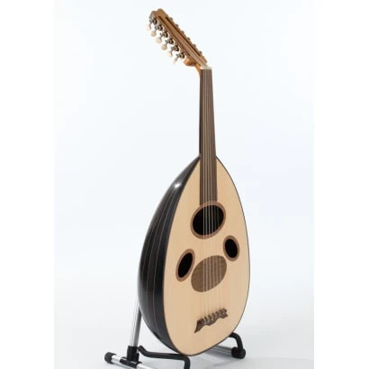 Shami oud mekaniska pinnar