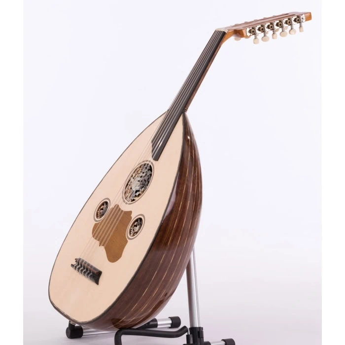 oud semi-acoustique