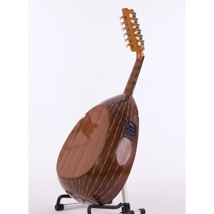 Oud électrique arabe