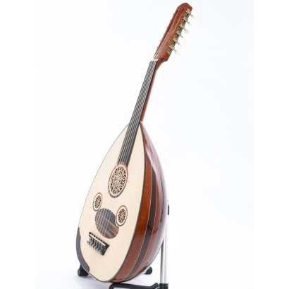 Professionell elektrisk Oud