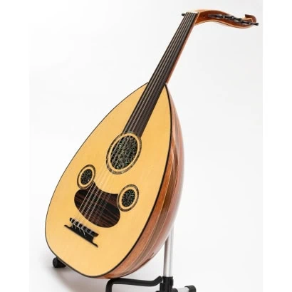 Professionell konsert turkiska Oud
