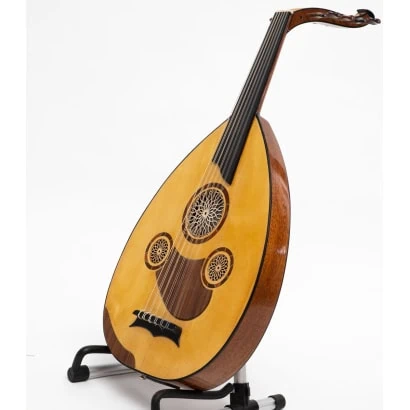 Handgjord Professionell elektrisk oud