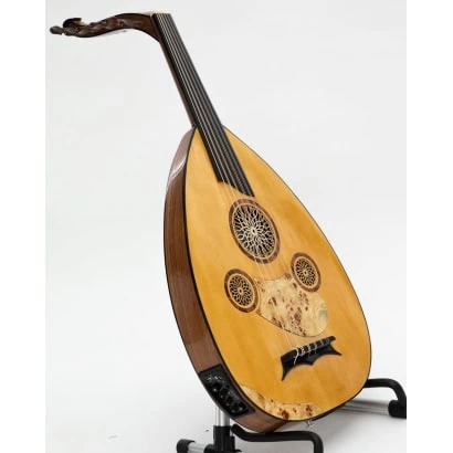 Professionell elektrisk oud med inbyggd equalizer