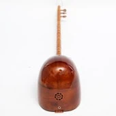 Baglama med inbyggd pickup